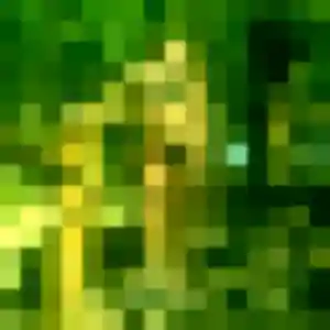 Genevieve (52 ans) à Sainte-Reine-de-Bretagne cherche un rencontre cougar ce soir