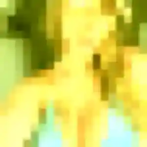 Patricia, 52 ans, dispo pour rencontre cougar à Saintines
