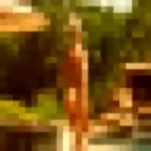 Martine (48 ans) à Saleux propose un rencontre cougar rapidement