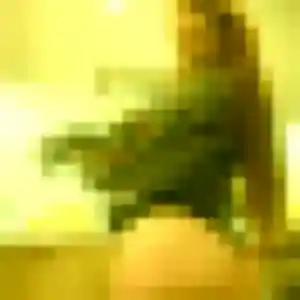 Photo exclusive de Sandrine, 42 ans à Samadet - rencontre sans lendemain