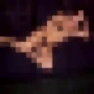 Photo sexy de Eliane, 53 ans à Sanssac-l'Église - plan discret