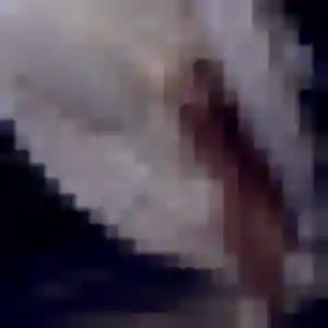 Profil de Dominique à Saujon (47 ans) - rencontre cougar anonyme