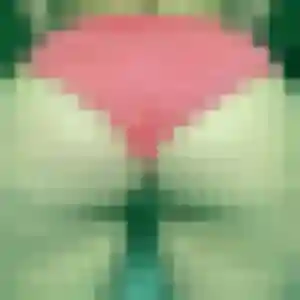 Christine (55 ans) à Sautron cherche un rencontre cougar maintenant