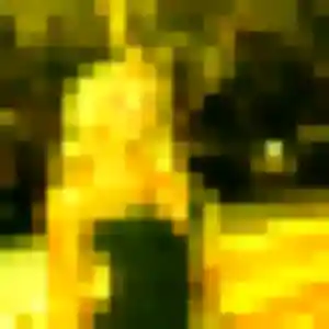 Photo privée de Nicole, 42 ans à Saverdun - rencontre sans lendemain