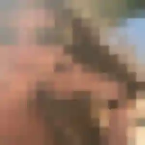 Profil de Corinne à Savières (53 ans) - rencontre cougar discret