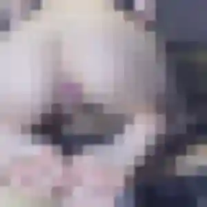 Catherine, femme de 52 ans cherche rencontre cougar à Savigny-en-Véron