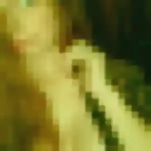 Sexy Marie-Christine, 52 ans à Semoutiers-Montsaon - voir sa photo