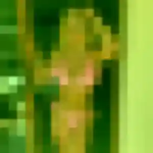 Jolie Antoinette, 54 ans à Sequedin - la contacter