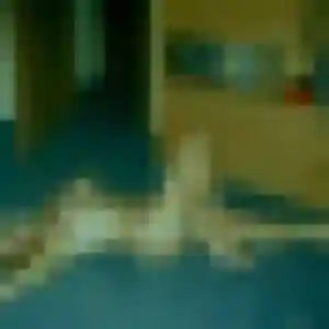 Stephanie de Serbonnes, 36 ans - rencontre cougar sans lendemain