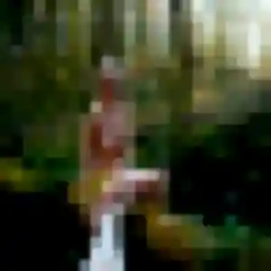 Colette, 52 ans, cherche un rencontre cougar à Sérignac-sur-Garonne