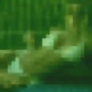 Découvre Regine, 38 ans à Sermoise-sur-Loire en privé