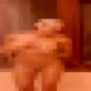 Marie-Helene, femme de 36 ans propose rencontre cougar à Serres-sur-Arget