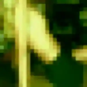 Profil de Patricia à Serres (45 ans) - rencontre cougar anonyme
