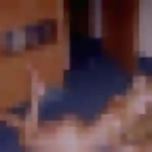 Photo de Karine à Seyne (40 ans) - rencontre cougar discret
