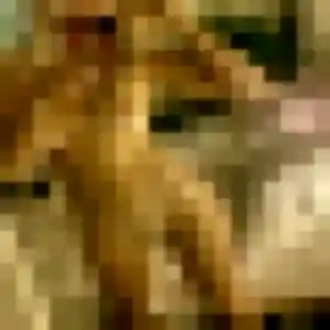 Photo exclusive de Solange, 48 ans à Sommervieu - rencontre coquine