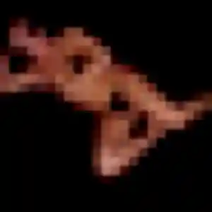Eliane, 42 ans, en ligne à Sorigny pour un rencontre cougar