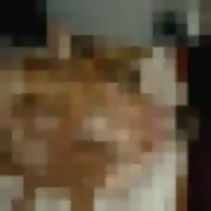 Colette (45 ans) à Sornac cherche une rencontre maintenant