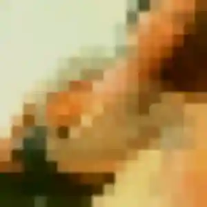 Photo perso de Elisabeth, 44 ans à Soulignonne - rencontre coquine