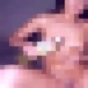 Photo exclusive de Isabelle, 53 ans à Soumoulou - rencontre sans lendemain
