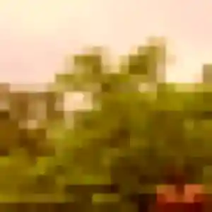 Photo sexy de Patricia, 53 ans à Steene - rencontre coquine