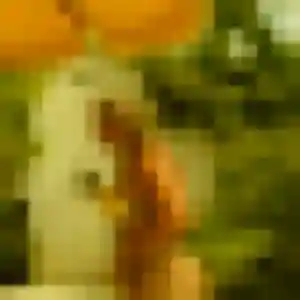 Profil de Beatrice à Talasani (44 ans) - rencontre cougar discret