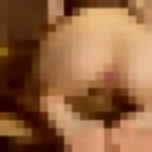 Catherine, 55 ans, en ligne à Templeuve-en-Pévèle pour une rencontre coquine