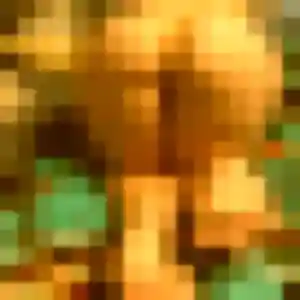 Photo exclusive de Marie-Claude, 52 ans à Thiescourt - rencontre coquine