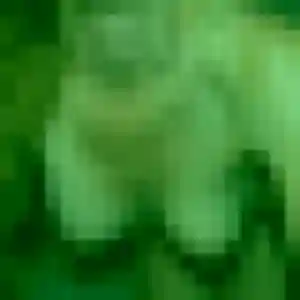 Profil de Renee à Thoard (43 ans) - rencontre cougar discret