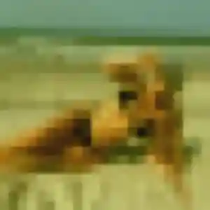 Photo perso de Monique, 44 ans à Thorée-les-Pins - rencontre coquine