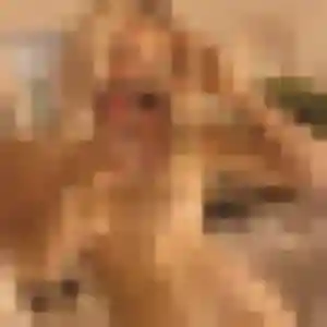 Solange, 38 ans, dispo pour rencontre cougar à Thury-Harcourt-le-Hom