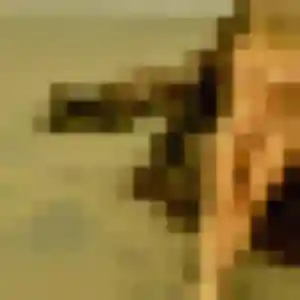 rencontre cougar à Tinchebray-Bocage : photo de Therese, 45 ans - accès libre