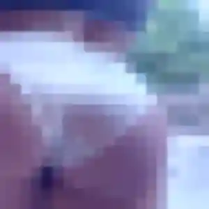 Jolie Delphine, 44 ans à Tréglamus - la contacter