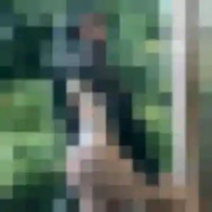 Photo exclusive de Stephanie, 38 ans à Trélou-sur-Marne - rencontre coquine