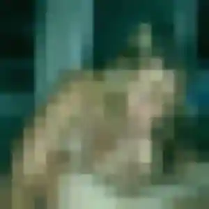 Yvette, femme de 35 ans veut rencontre cougar à Trévou-Tréguignec