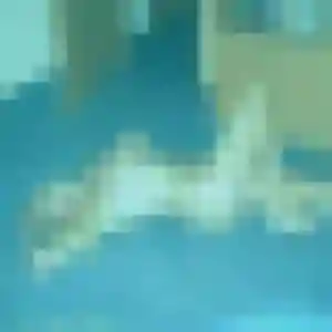 Stephanie, 43 ans, connectée à Valdallière pour un rencontre cougar