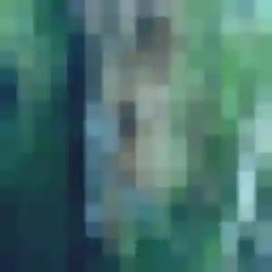Photo privée de Carole, 35 ans à Vallabrègues - rencontre coquine