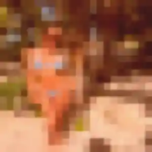 Lydia, 39 ans, disponible à Varaville pour une rencontre coquine