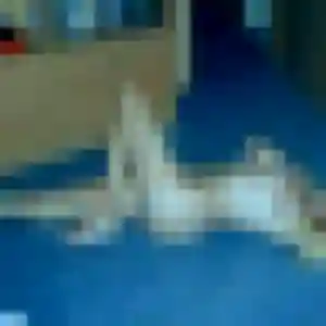 Stephanie, 35 ans, disponible à Vaulx-Vraucourt pour un rencontre cougar