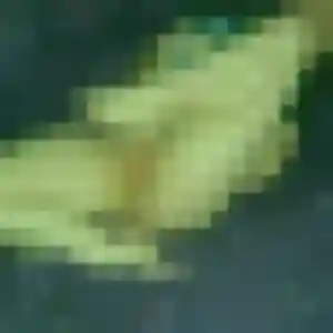 Photo de Stephanie à Vauvenargues (37 ans) - rencontre cougar discret