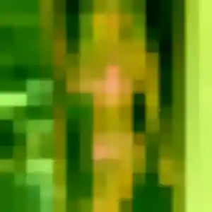 Profil de Patricia à Vendôme (47 ans) - rencontre cougar anonyme