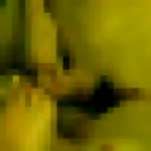 Profil de Sandrine à Verneuil (43 ans) - rencontre cougar anonyme