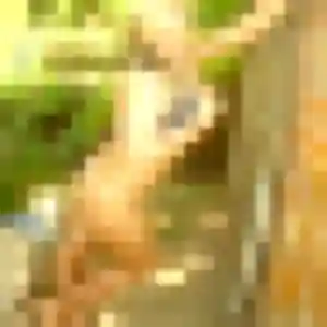 Photo de Alexandra à Vernioz (36 ans) - rencontre cougar sans inscription