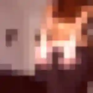 Evelyne, 53 ans, en ligne à Verquigneul pour une rencontre coquine