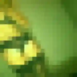 Photo exclusive de Frederique, 53 ans à Vers-Pont-du-Gard - rencontre sans lendemain