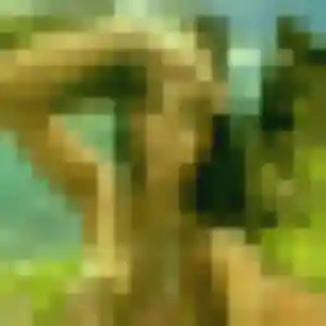 Photo exclusive de Sandrine, 54 ans à Vertheuil - rencontre coquine
