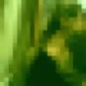 Sylvie (39 ans) à Viarmes cherche une rencontre maintenant