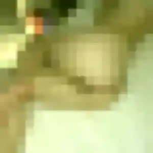 Denise, 51 ans, cherche un rencontre cougar à Vic-Fezensac