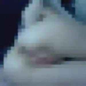 rencontre cougar à Vic-sur-Seille : photo de Regine, 43 ans - accès libre