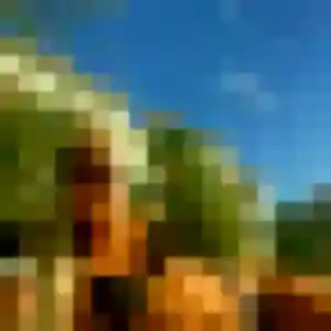 Photo privée de Jocelyne, 49 ans à Villejust - rencontre sans lendemain