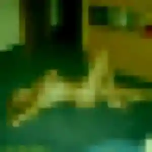 Stephanie, femme de 49 ans propose rencontre cougar à Villemaréchal
